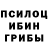 Галлюциногенные грибы Cubensis Masha Runora