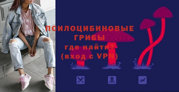 индика Бугульма