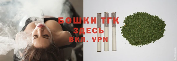 стаф Нефтегорск