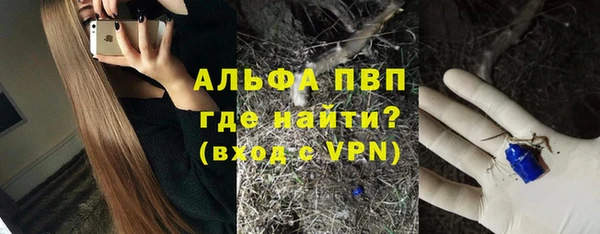 индика Бугульма