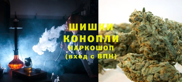 индика Бугульма