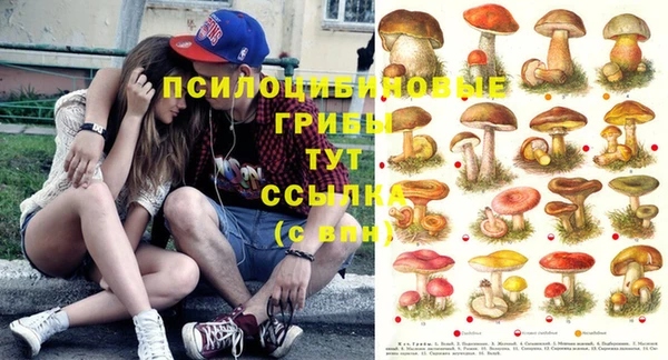 мдма Анива