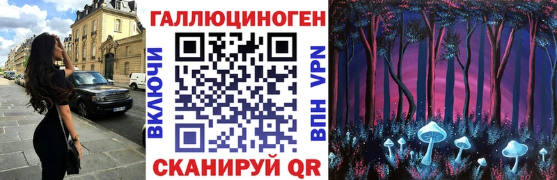закладка  Семёнов  Галлюциногенные грибы мицелий 