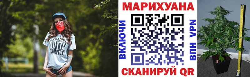 Бошки марихуана ГИДРОПОН  Семёнов 